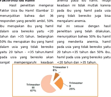 Gambar 1. Karakteristik Usia Responden (Ibu Hamil) yang MenderitaAnemia di Puskesmas Sikumana Kota Kupang