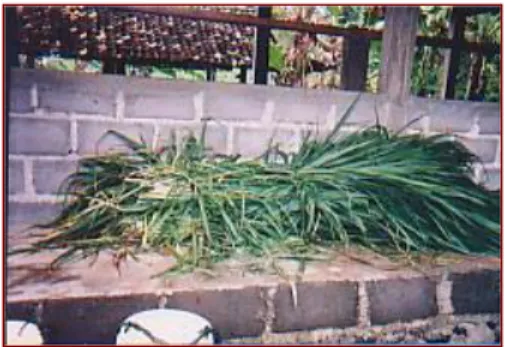 Gambar 3. Bungkil kelapa, salah satu bahan  pakan konsentrat (sumber protein)  