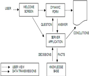 Gambar 2. Model Sistem Pakar berbasis Web 