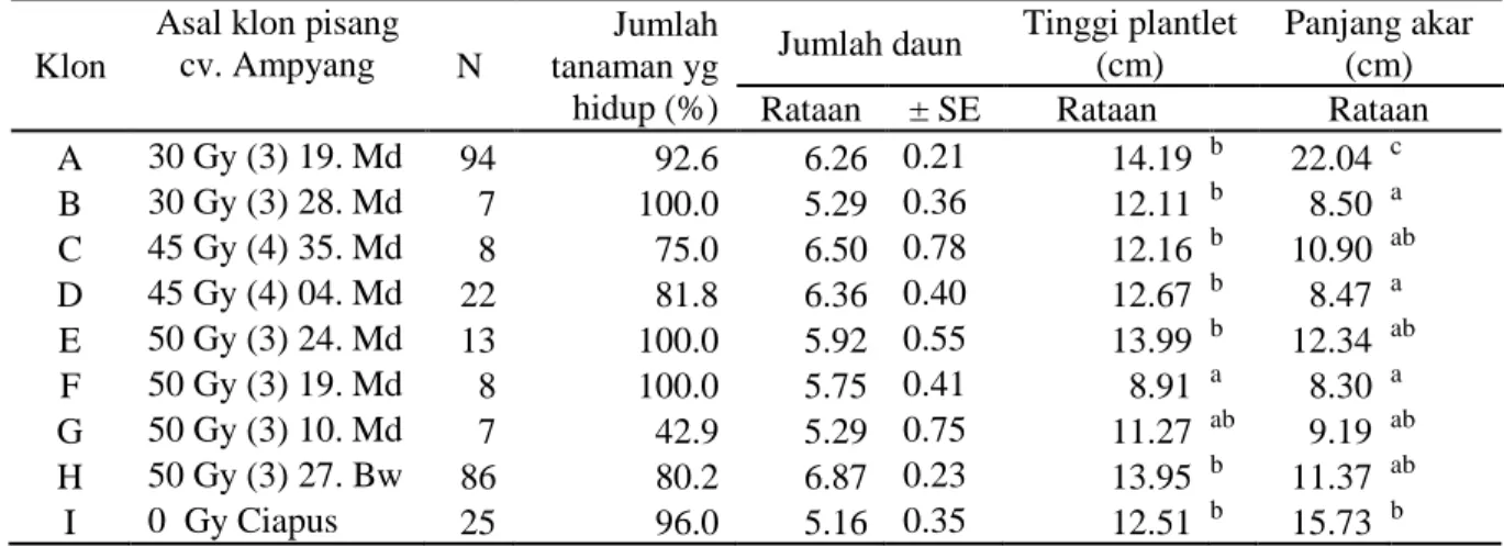 Tabel  3.   Persentase tanaman bertahan hidup pada usia 4 minggu setelah aklimatisasi di rumah kaca,        dan rataan jumlah daun, tinggi plantlet, panjang akar plantlet pisang cv