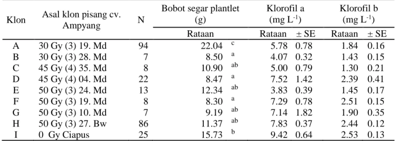 Tabel 5.  Rataan bobot segar plantlet dan kandungan klorofil a dan b daun pisang cv. Ampyang putatif      resisten layu Fusarium saat aklimatisasi 