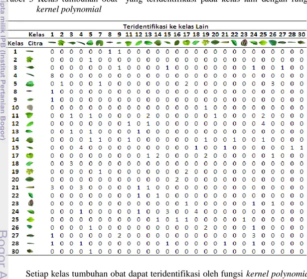 Tabel  3  Kelas  tumbuhan  obat    yang  teridentifikasi  pada  kelas  lain  dengan  fungsi 