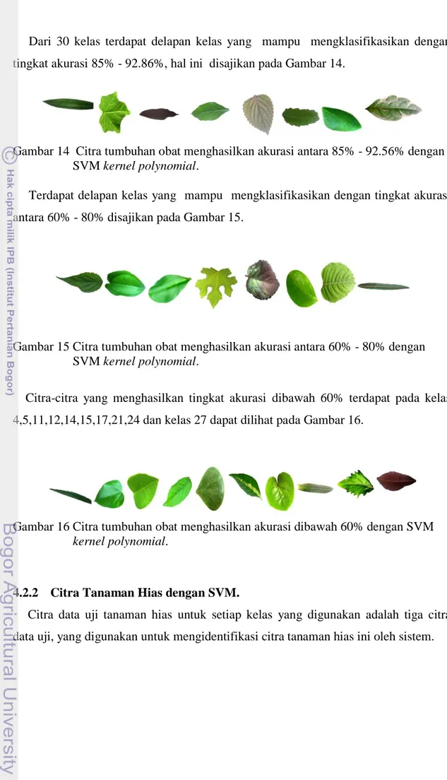 Gambar 14  Citra tumbuhan obat menghasilkan akurasi antara 85% - 92.56% dengan  SVM kernel polynomial