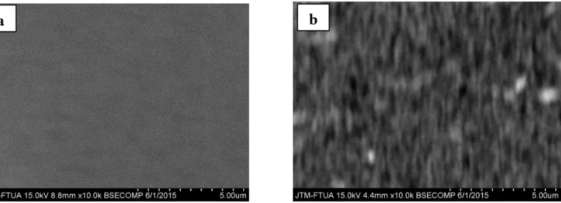 Gambar 1. Morfologi lapisan tipis TiO2 hasil elektrodeposisi menggunakan larutan elektrolit (a) 0,25 M  TiCl3 (sampel E1) dan (b) 0,5 M TiCl3 (sampel E2) dengan perbesaran 10.000 kali