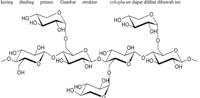 Gambar 1. Primary structure of xyloglucan  III.5. Ekstraksi 