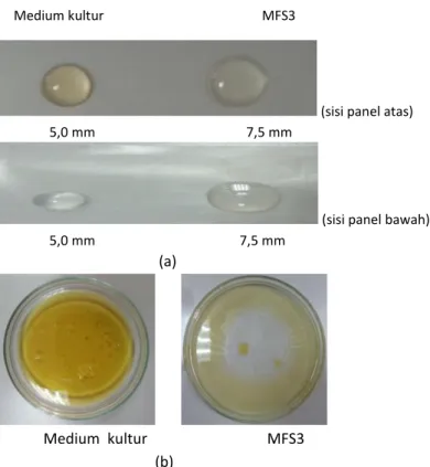 Gambar 2. Efek crude biosurfaktan bakteri MFS3 pada  permukaan parafilm M test (a) dan hidrofobik (b)  pada suhu ruang