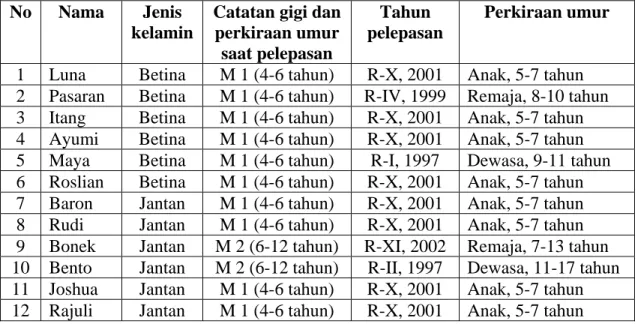 Tabel 3. Catatan gigi orangutan sasaran saat pelepasan dan penghitungan  umurnya 