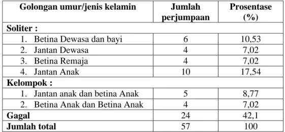 Tabel 4. Orangutan yang ditemukan berdasarkan jenis kelamin dan umur pada  periode Agustus 2002-Februari 2003 