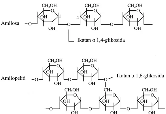 Gambar 1. Struktur molekul amilosa dan amilopektin (Eliasson, 2004)  Stuktur linear amilosa dan struktur bercabang  amilopektin dapat dilihat  saat gelatinisasi  dan  kemampuannya membentuk film