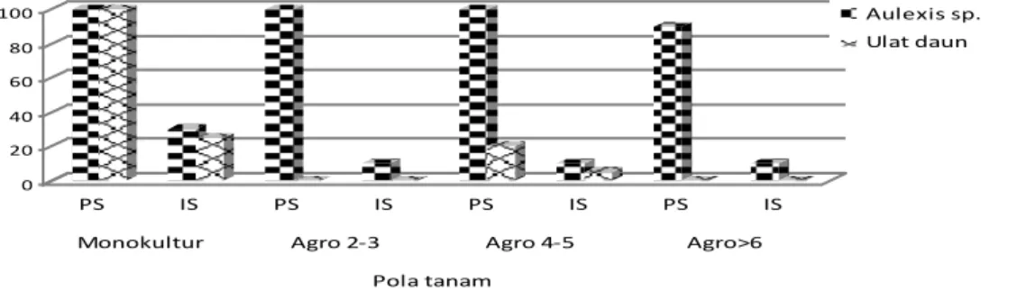 Gambar  7.  Persentase  dan  intensita  serangan  hama  pada  bambang  lanang  dengan  berbagai  pola  tanam di kabupaten Muara Enim 