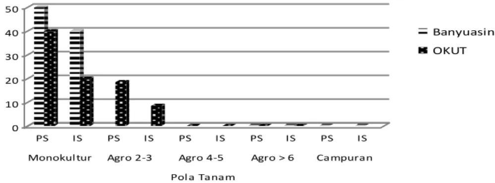 Gambar  14.    Persentase  dan  intensitas  serangan  Curvularia  sp.  pada  tanaman  tembesu  pada  berbagai pola tanam di hutan rakyat Sumbagsel 