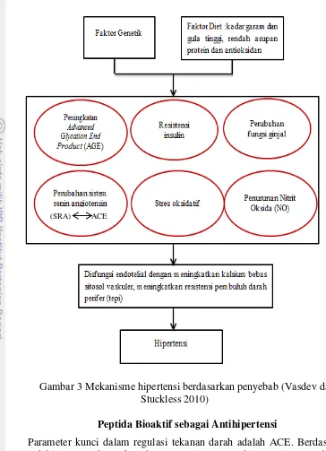 Gambar 3 Mekanisme hipertensi berdasarkan penyebab (Vasdev dan 