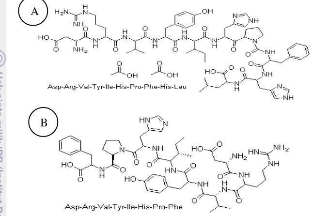 Gambar 4 Struktur kimia angiotensin I (A) dan angiotensin II (B) 