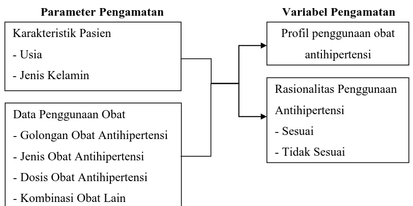 Gambar 1.1 Skema Kerangka Pikir Penelitian Evaluasi Penggunaan Obat Antihipertensi Pada Pasien Hipertensi yang Menjalani Hemodialisis di Klinik Spesialis Ginjal dan Hipertensi Rasyida Kota Medan  