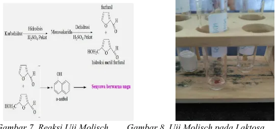 Gambar 7. Reaksi Uji Molisch   Gambar 8. Uji Molisch pada Laktosa  Uji Molisch pada Mocaf 