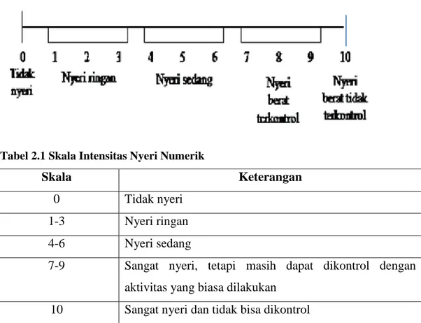 Tabel 2.1 Skala Intensitas Nyeri Numerik 
