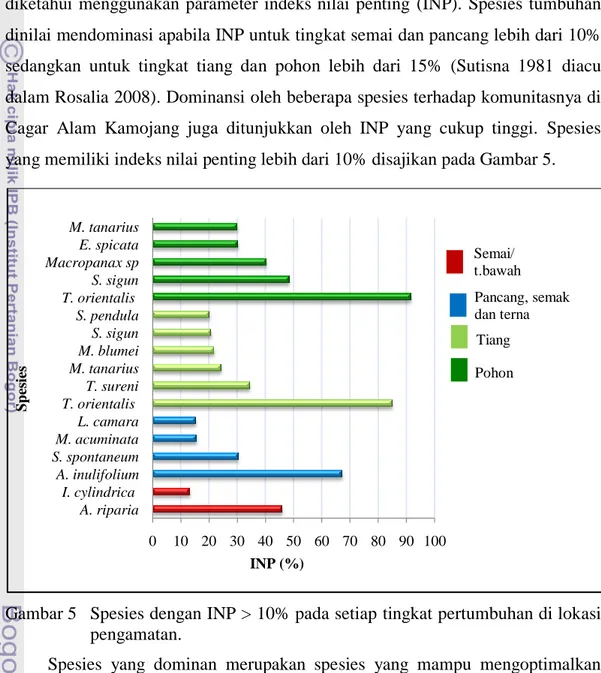 Gambar 5  Spesies dengan INP &gt; 10% pada setiap tingkat pertumbuhan di lokasi  pengamatan