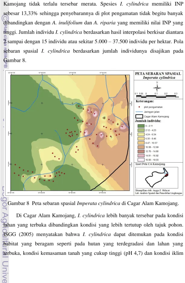 Gambar 8  Peta sebaran spasial Imperata cylindrica di Cagar Alam Kamojang.  Di Cagar Alam Kamojang, I