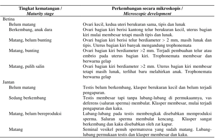 Tabel 1. Tingkat kematangan kelamin pada ikan bertulang rawan (Martin &amp; Cailliet dalam White et al.,2001) Table 1