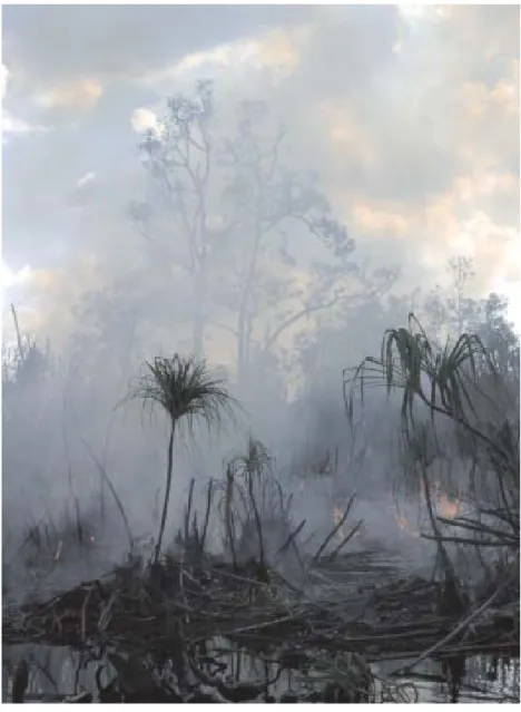 Gambar 2.  Kebakaran lahan gambut di Kalimantan Tengah (Foto: Yus Rusila Noor)