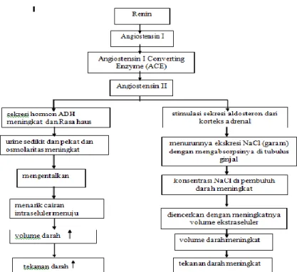 Gambar 2.1 Patofisiologi hipertensi (Anggraini et al., 2009)  h.  Komplikasi Hipertensi 