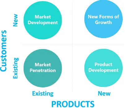 Gambar 3.1. Framework Business Growth (Wunker, 2019) 