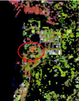 Gambar 3-3: Citra Landsat 8 RGB 653 yang sudah dibatasi daerah analisisnya 