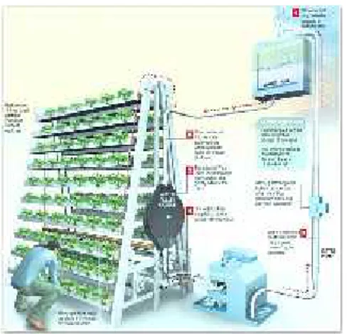 Gambar 2. The Vertical Farming System