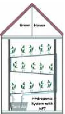 Gambar 5. Greenhouse yang berisi hidroponik NFT system