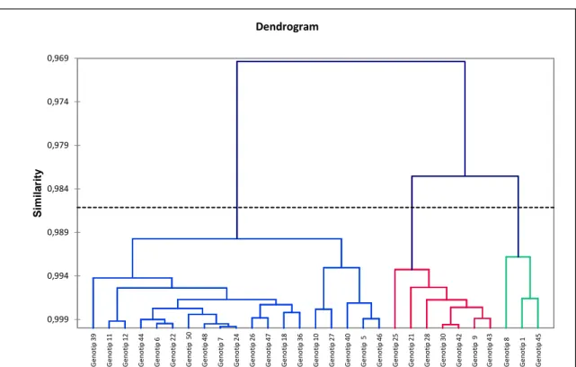 Gambar 2. Dendogram 29 genotip bunga matahari berdasarkan karakter kuantitatif  12 genotip yaitugenotip 1, 8 dan 45