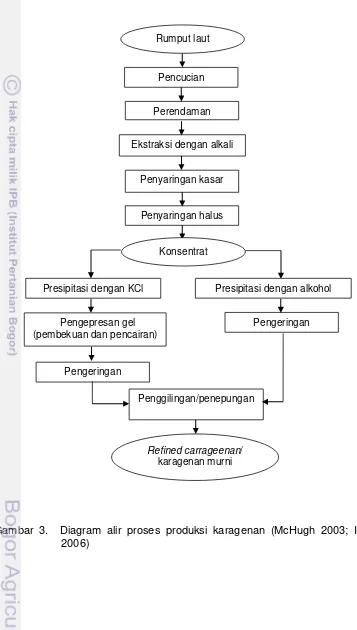 Gambar 3.  Diagram alir proses produksi karagenan (McHugh 2003; Imeson 