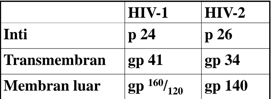 Tabel 1. Protein pada HIV-1 dan HIV-2