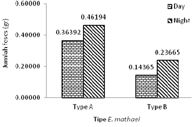 Gambar 4. Total feses harian yang dihasilkan oleh  Echinometra mathaei Tipe A dan Tipe B 