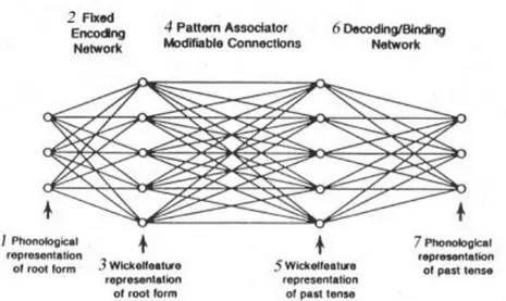 Abbildung 3: Netzwerkmodell Schema nach Rumelhart/McClelland (1987, S. 201)  Am  Beispiel  des  Past  tense  System  erhielt  das  Modell  als  Input  phonologische  Repräsentationen  von  Verben  im  present  tense  und  war  nach  einer  Lernphase  in  d