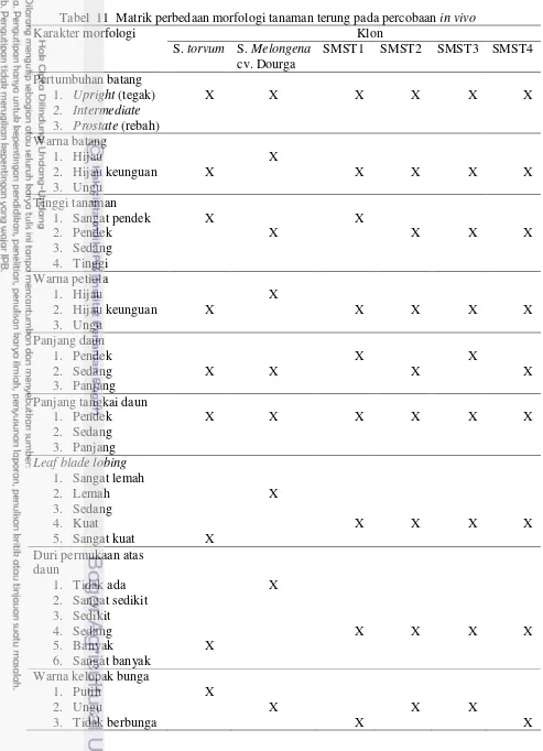 Tabel  11  Matrik perbedaan morfologi tanaman terung pada percobaan in vivo  