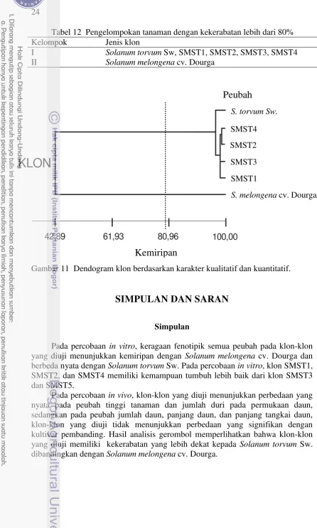 Tabel 12  Pengelompokan tanaman dengan kekerabatan lebih dari 80% 