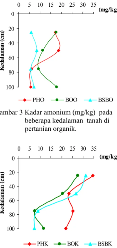 Gambar 4 Kadar amonium (mg/kg) pada                      beberapa kedalaman  tanah di                    pertanian konvensional