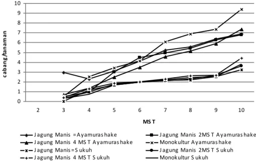 Gambar 1. Grafik pertumbuhan jumlah cabang per tanaman ubijalar 