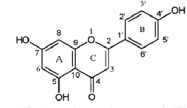 Gambar  1  merupakan  struktur  dari  apigenin,  yang  memiliki  bobot  molekul  270,23  g/moL  dan  titik  leleh  345  –  350ºC