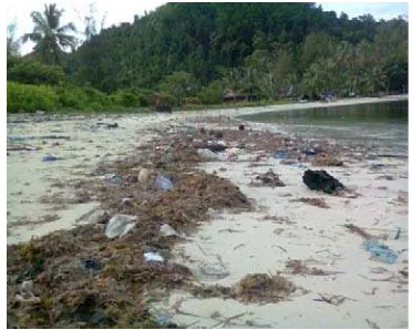 Gambar kondisi Pulau Poncan Gadang            (Sampah-sampah yang berserkan di pantai 