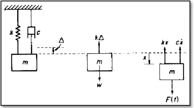Gambar 2.9. Sistem Pegas Massa dan Diagram Benda Bebas (William T.  Thomson, 1992) 