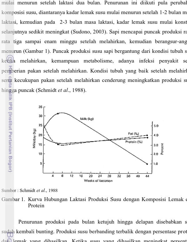 Gambar 1.  Kurva  Hubungan  Laktasi  Produksi  Susu  dengan  Komposisi  Lemak  dan  Protein 