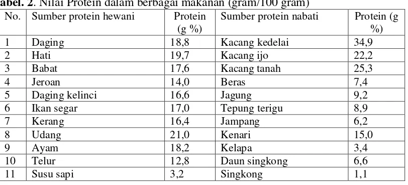 Tabel. 2. Nilai Protein dalam berbagai makanan (gram/100 gram) 