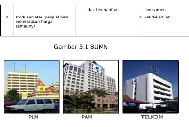 Gambar 5.1 BUMN 