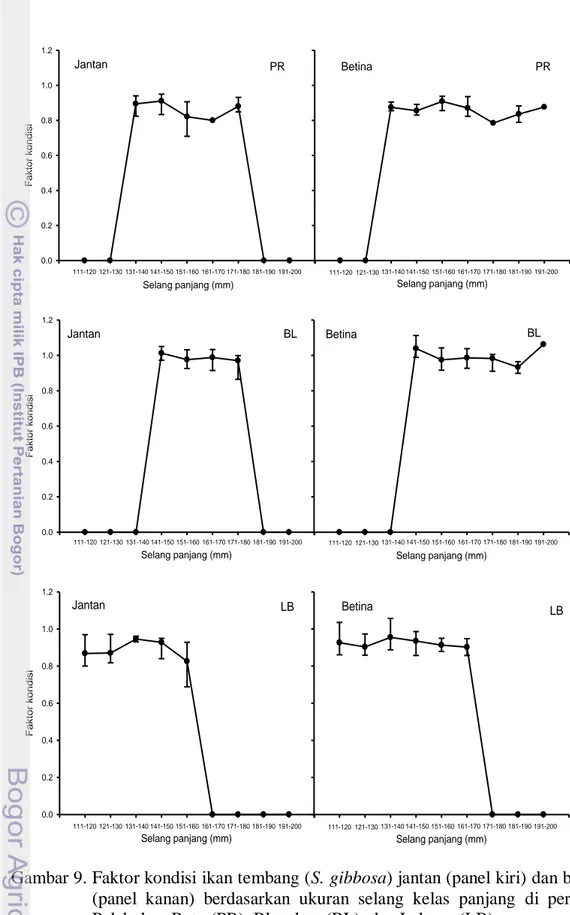 Gambar 9.  Faktor kondisi ikan tembang (S. gibbosa) jantan (panel kiri) dan betina  (panel  kanan)  berdasarkan  ukuran  selang  kelas  panjang  di  perairan  Palabuhan Ratu (PR), Blanakan (BL), dan Labuan (LB) 