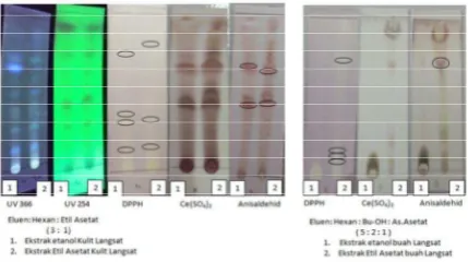 Gambar 1. Profil KLT golongan senyawa ekstrak L.domesticum   