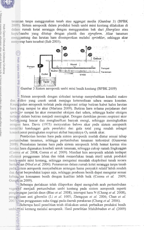Gambar 3 benih 