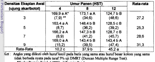 Tabel  3.  Kadar protein total (mg/g BK) dan hasil  protein  total (mg) dari  akar  berambut  pada  beberapa  densitas  eksplan  awal  clan  umur  Panen 