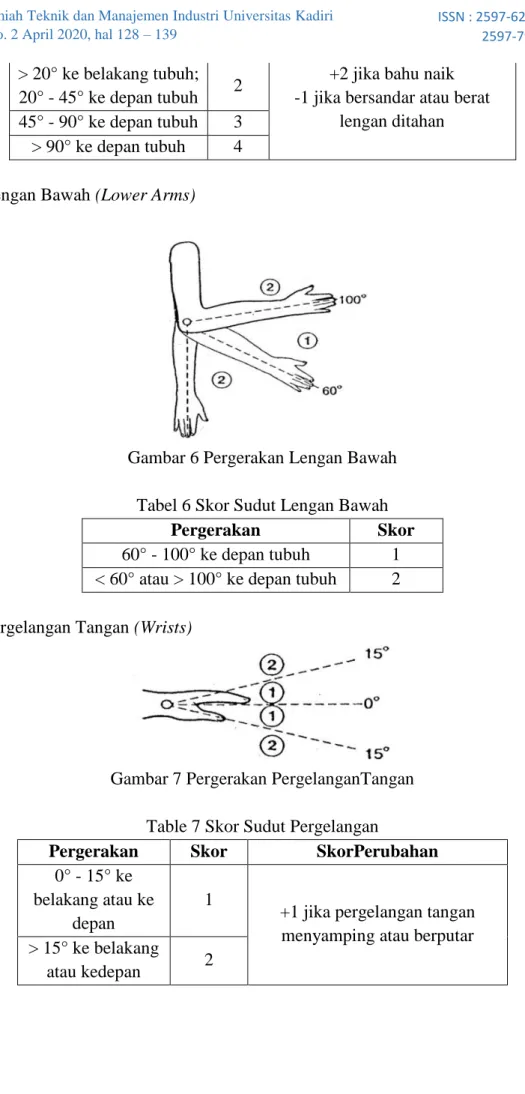 Gambar 6 Pergerakan Lengan Bawah 