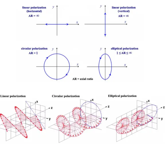 Figure 24: Types of polarization 